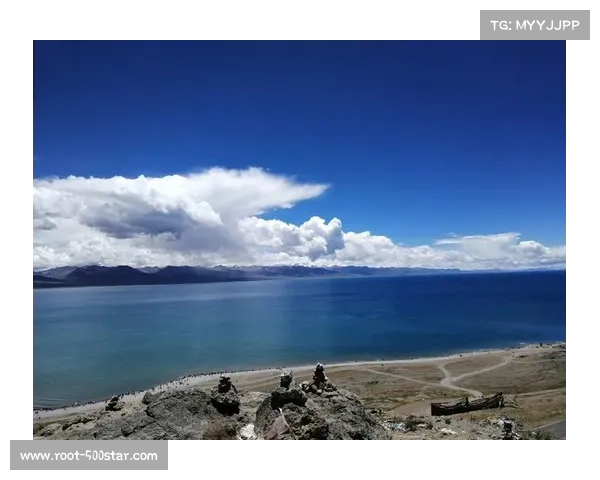 S15带动成都旅游增长，电竞周边销量创新高